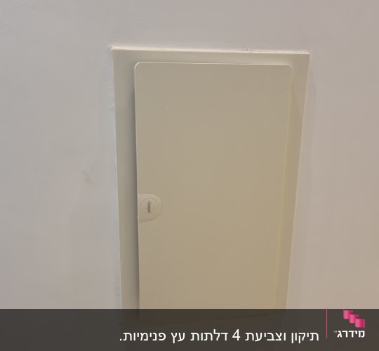 דלת ארון חשמל על קיר צבוע